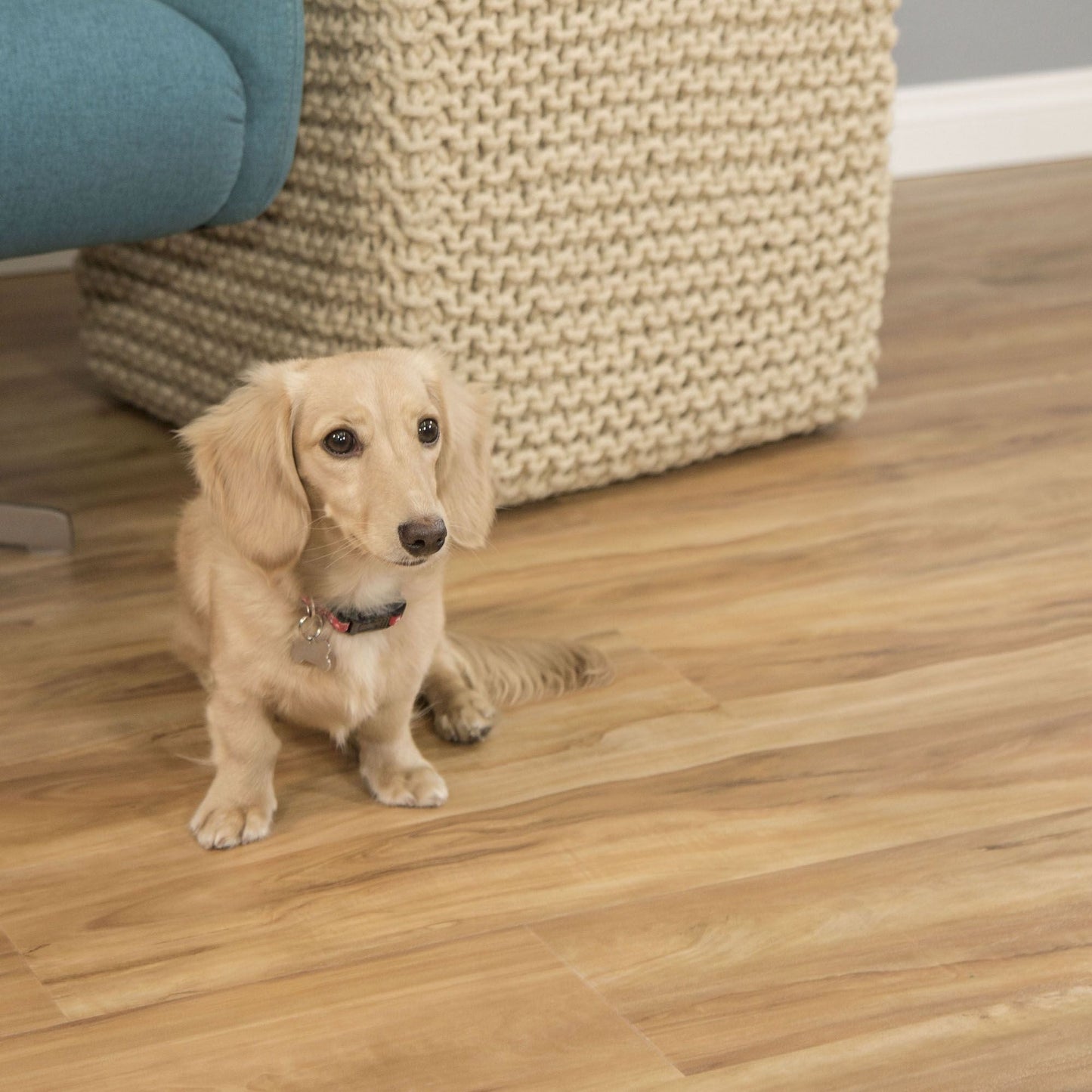 CALI Vinyl Pro Classic Blonde Ale 7-in W x 48-in L x 5.5-mm Waterproof Interlocking Luxury Vinyl Plank Flooring (23.77-sq ft/carton)