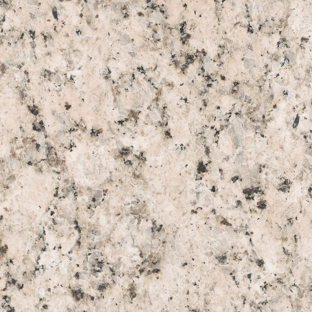 VT Dimensions Formica 4-ft Ouro Romano Etchings Straight Laminate Kitchen Countertop with Integrated Backsplash
