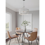 Progress Lighting Gulliver 4-Light Galvanized Farmhouse Drum Medium Hanging Pendant Light