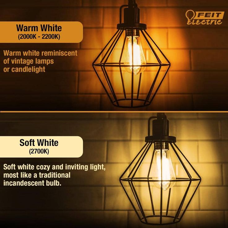 Feit Electric 40-Watt Equivalent ST19 Clear Glass Vintage Edison LED Light Bulb with M Shape Filament Warm White (12-Pack)