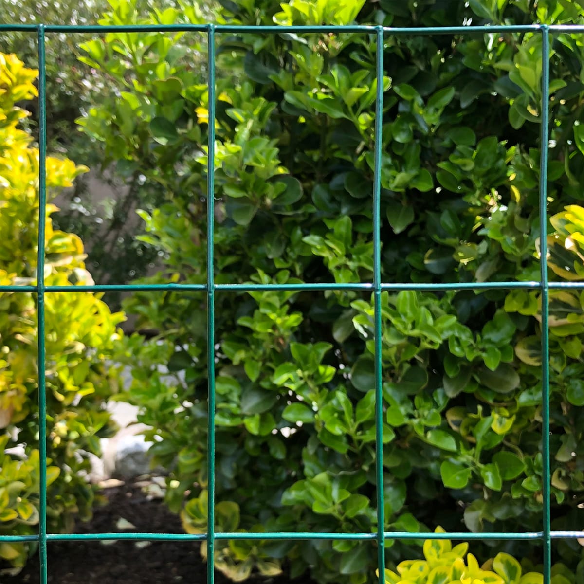 GARDEN CRAFT 50-ft Green PVC Coated Steel Welded Wire Rolled Fencing with Mesh Size 3-in