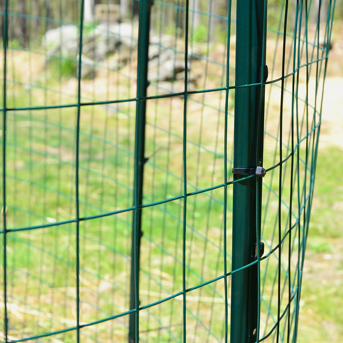 Garden Craft Green PVC Coated Steel Welded Wire Fencing, 50ft x 3ft