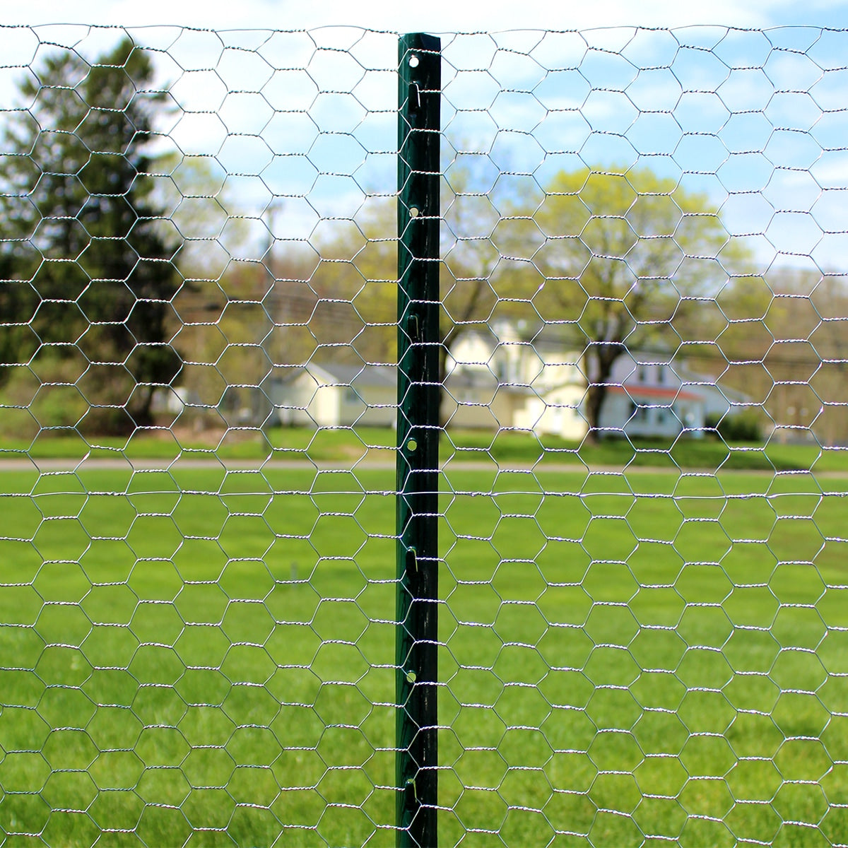 GARDEN CRAFT Gray/Silver Steel Chicken Wire Rolled Fencing with Mesh Size 1-in