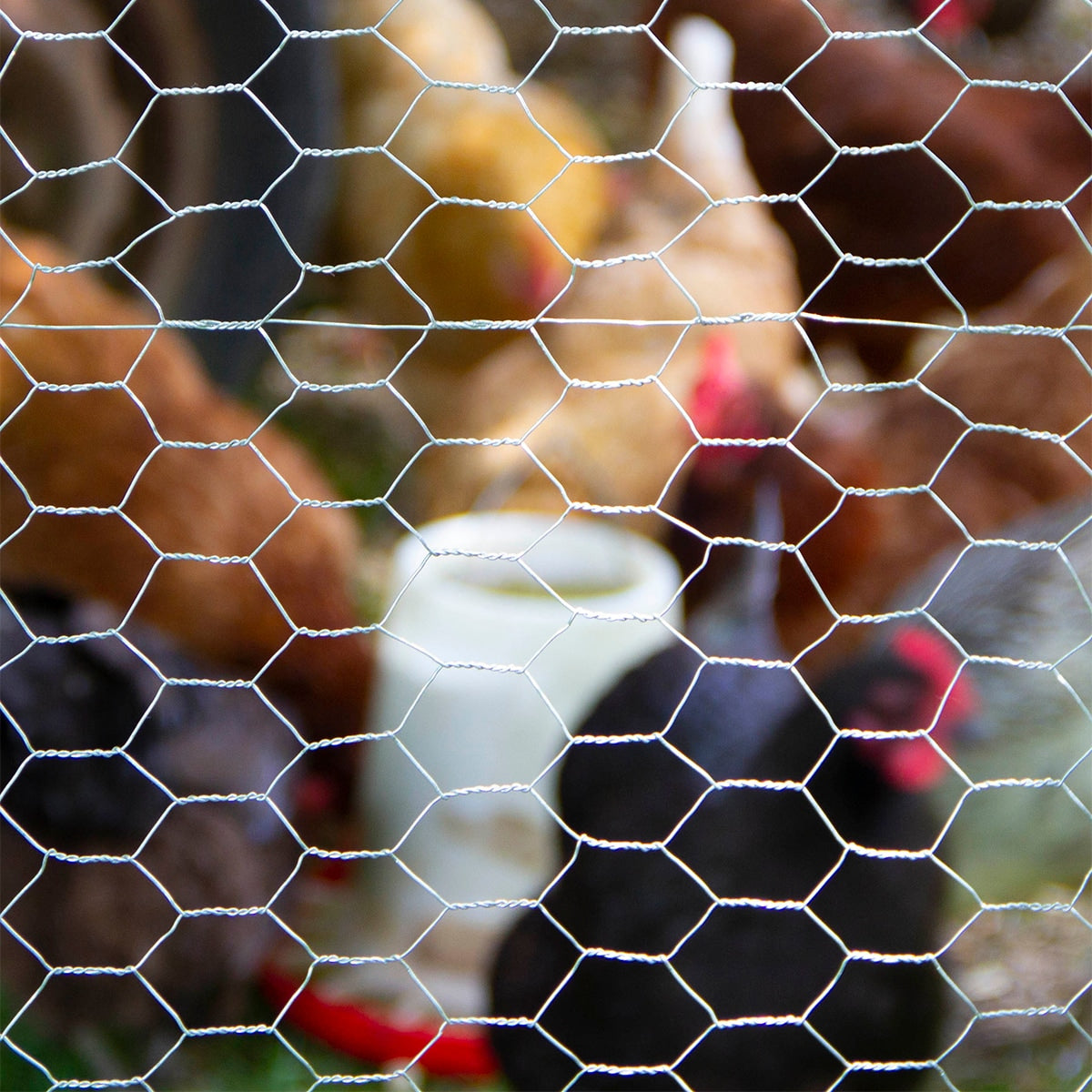 GARDEN CRAFT Gray/Silver Steel Chicken Wire Rolled Fencing with Mesh Size 1-in