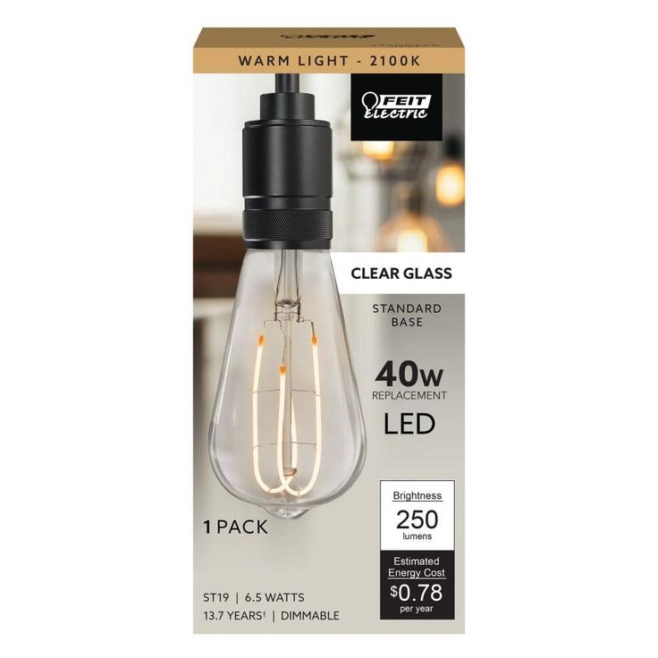 Feit Electric 40-Watt Equivalent ST19 Clear Glass Vintage Edison LED Light Bulb with M Shape Filament Warm White (12-Pack)