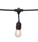 Portfolio 24-ft 12-Light Plug-in Incandescent Edison String Lights, Black