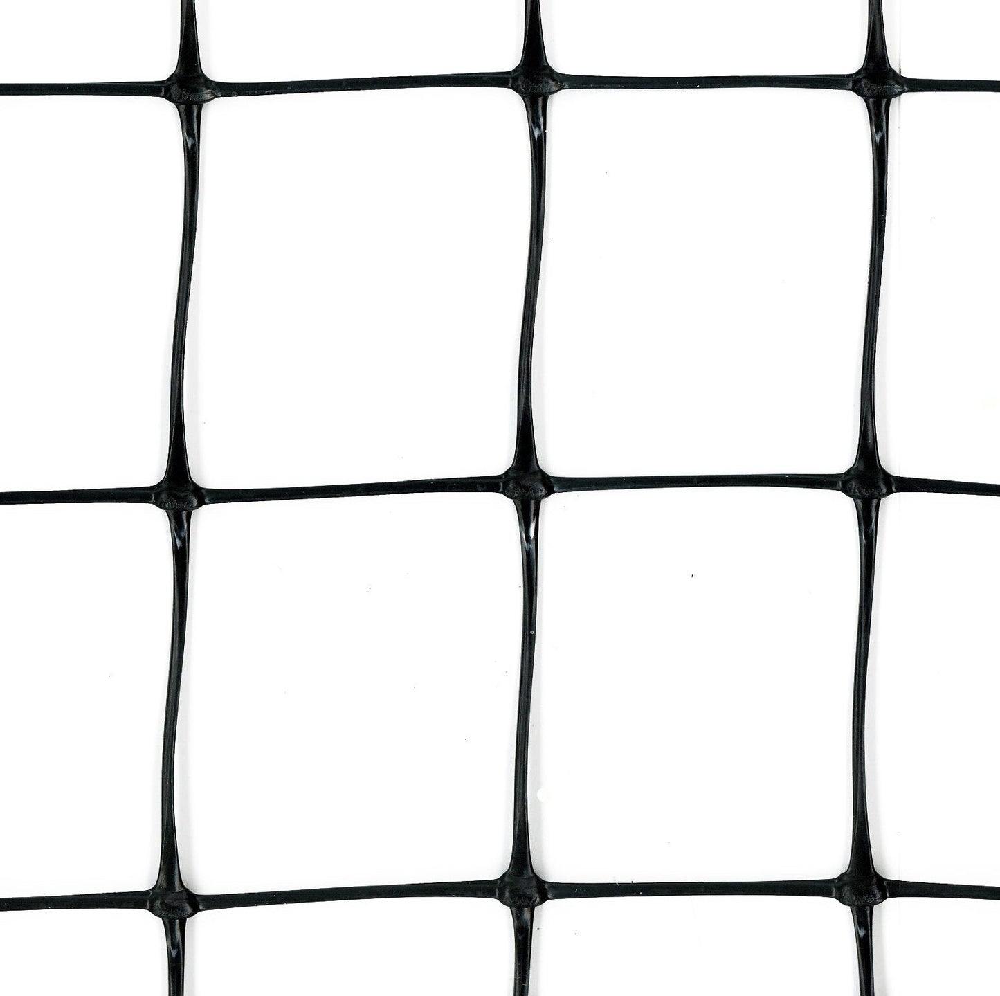 Tenax 6-ft Black Plastic Extruded Mesh Rolled Fencing with Mesh Size 2-in x 2-in