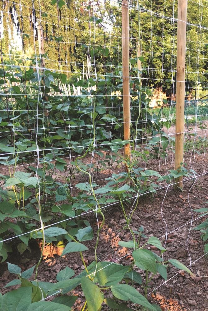 Tenax Hortonova Trellis Net 6.5-ft x 250-ft White Plastic Safety Netting for Multi-purpose Use