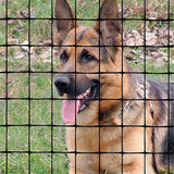 Tenax 200-ft x 5-ft Black Plastic Extruded Mesh Rolled Fencing with Mesh Size 2-in x 2-in
