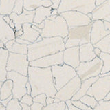 Flexco Dissipative Tile Light Beige/Tan 24-in x 24-in Vinyl Tile Flooring (4-sq ft)