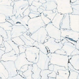 Flexco Whiteblue 24-in x 24-in Glue-Down Vinyl Tile Flooring (9-sq ft)