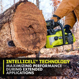 RYOBI 40-Volt Lithium-Ion 6 Ah High Capacity Battery