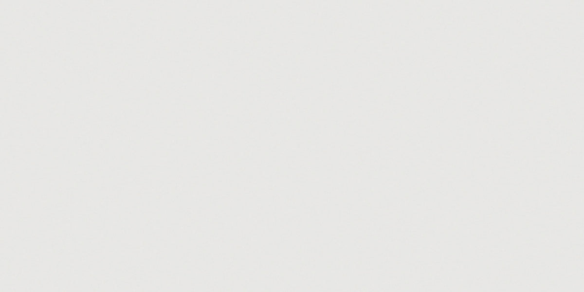 Satori Windsor White 12-in x 24-in Polished Porcelain Floor and Wall Tile (1.93-sq. ft/ Piece)