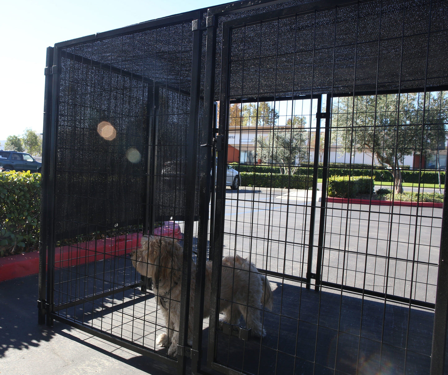 NCSNA 10-ft H x 10-ft W Black Hdpe Chain Link Fence Screen