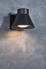 Project Source 2-Pack 4.76-in H Matte Black Dark Sky Integrated LED Outdoor Wall Light