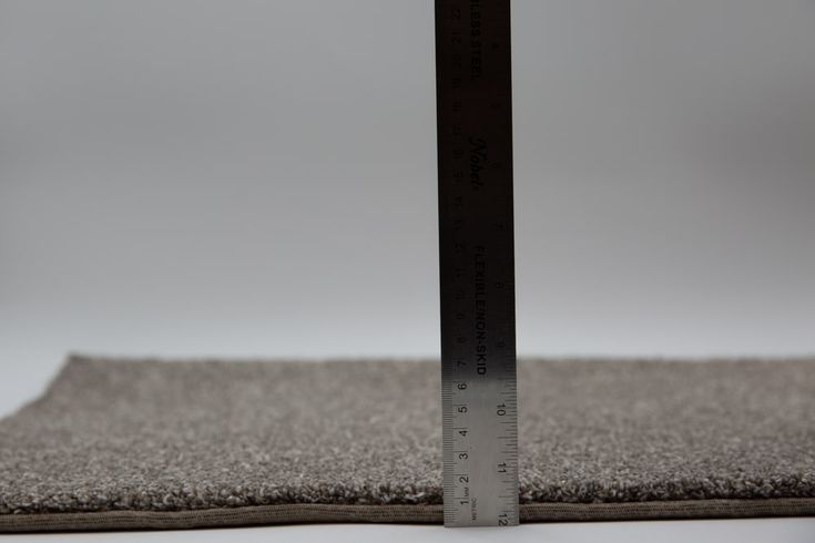 STAINMASTER Beatitude Elsewhere Textured Carpet Sample (Interior)