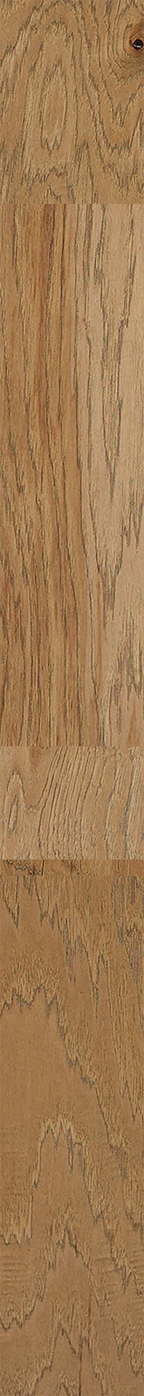 Shaw Hickory Serengeti hardwood flooring — surface grain detail