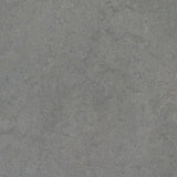 Forbo Flooring Systems Marmoleum Cinch Loc Seal Eternity 10-mm T x 12-in W x 36-in L Waterproof Tile Look Laminate Flooring (20.34-sq ft / Carton)