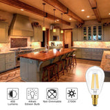 YANSUN 40-Watt Equivalent ST48 Edison LED Light Bulb Warm White (6-Pack)