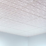 Fasade 2-ft x 2-ft Traditional 1 Matte White PVC Drop Ceiling Tile (5-Pack, 20-sq ft / Case)