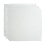 Fasade 2-ft x 2-ft Border Fill Matte White PVC Drop Ceiling Tile (5-Pack, 20-sq ft / Case)
