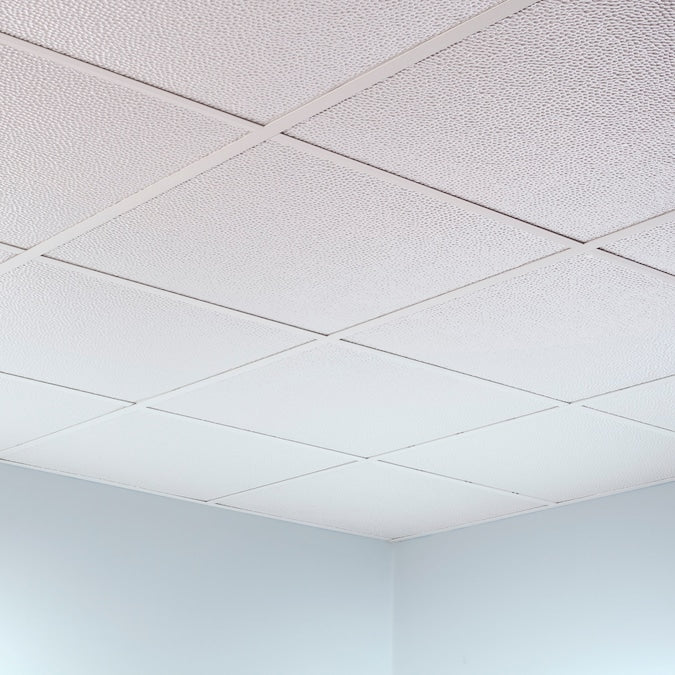 Fasade 2-ft x 2-ft Border Fill Matte White PVC Drop Ceiling Tile (5-Pack, 20-sq ft / Case)