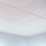 Fasade 2-ft x 2-ft Border Fill Matte White PVC Drop Ceiling Tile (5-Pack, 20-sq ft / Case)