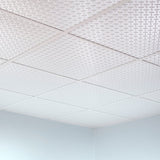 Fasade 2-ft x 2-ft Diamond Plate Matte White PVC Drop Ceiling Tile (5-Pack, 20-sq ft / Case)