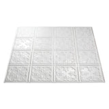 Fasade 2-ft x 2-ft Traditional 10 Matte White PVC Drop Ceiling Tile (5-Pack, 20-sq ft / Case)