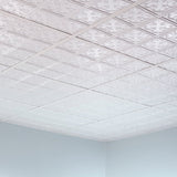 Fasade 2-ft x 2-ft Traditional 10 Matte White PVC Drop Ceiling Tile (5-Pack, 20-sq ft / Case)