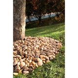 MSI Dorado Beach 0.5 cu. ft. 3 cm to 5 cm  River Rock. 40 lbs. Bag (21 cu. Ft. / 42 Bags / Pallet)