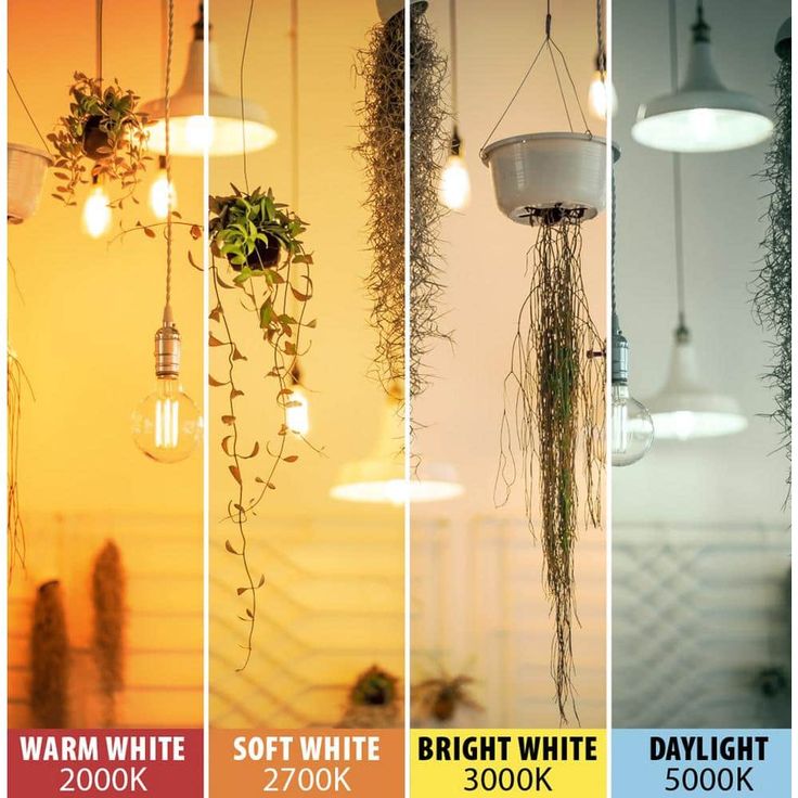Feit Electric 60-Watt Equivalent ST19 Dimmable LED Clear Glass Vintage Edison Light Bulb With Straight Filament Soft White (4-Pack)