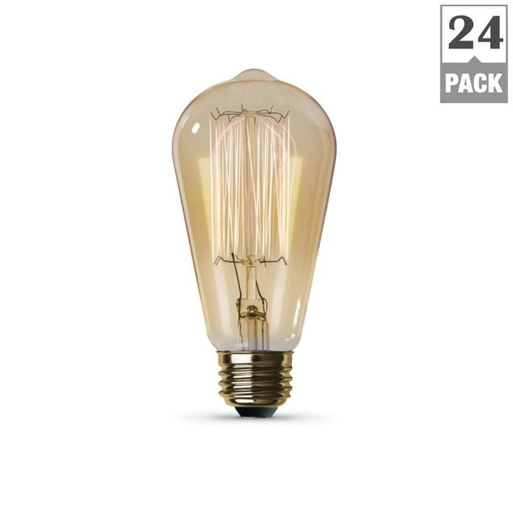 Feit Electric 60-Watt ST19 Dimmable Incandescent Amber Glass Vintage Edison Light Bulb with Cage Filament Soft White (24-Pack)