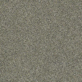 Shaw Floorigami Midnight Snack Trail Mix DIY Carpet 8-Pack 24-in Trail Mix Textured Peel-and-Stick Carpet Tile