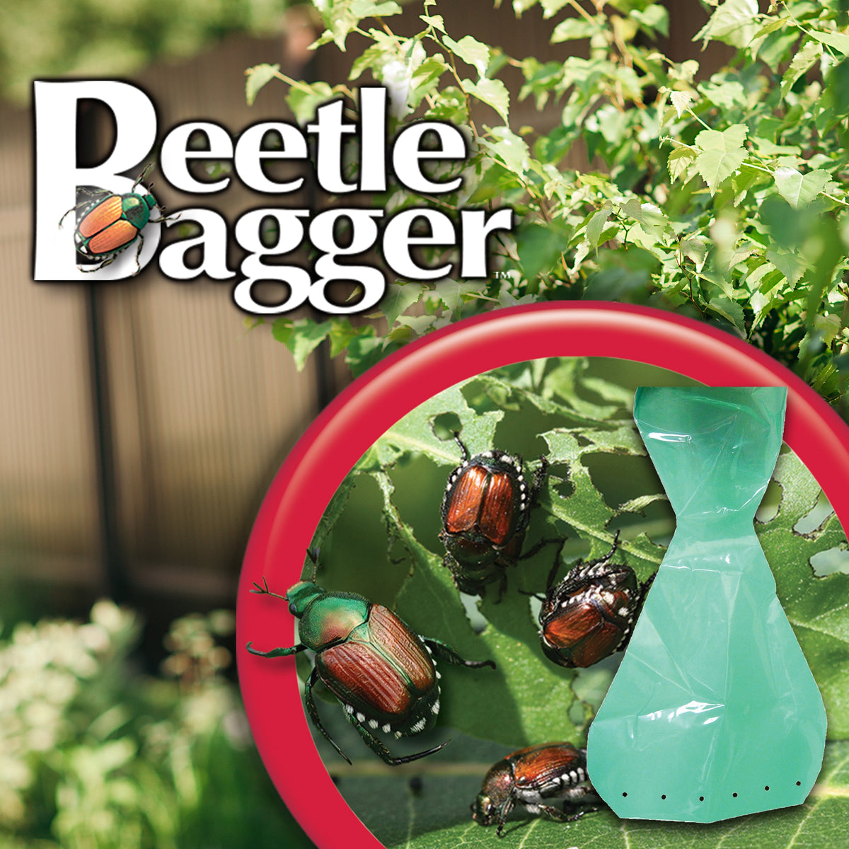 Bonide Beetle Bagger Disposable Collection Bags – 6-Pack Replacement Bags for Japanese Beetle Trap