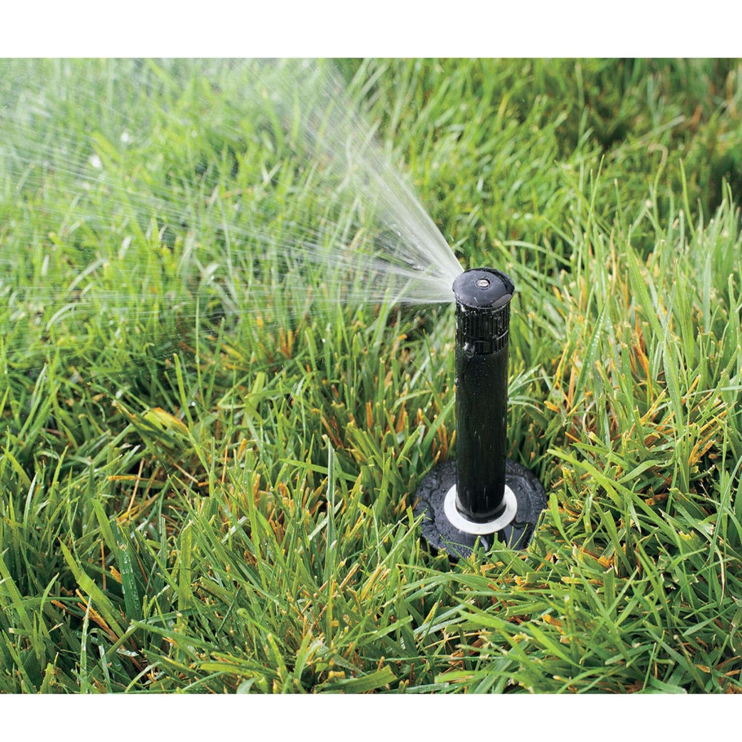 19deb865-3518-49c7-8a12-4fe32a3d26a8_quality=60&_mzcb=_1649148331752_-240797793