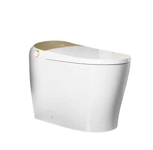 HOROW Tankless Elongated Smart Toilet Bidet in Golden with Auto Flush, Heated Seat, Warm Air Dryer, Bubble Infusion Wash