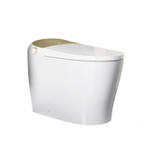 HOROW Tankless Elongated Smart Toilet Bidet in Golden with Auto Flush, Heated Seat, Warm Air Dryer, Bubble Infusion Wash