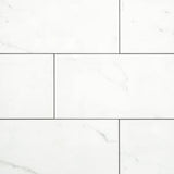 San Giorgio Venato II Polished Porcelain Tile, 12 x 24