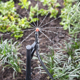 Raindrip Full-Circle Drip Irrigation Micro Spray, 20 GPH (10-Pack)