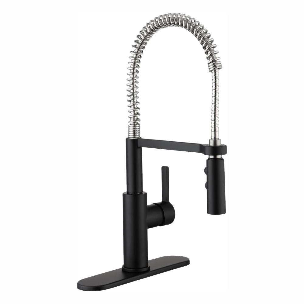 Statham Single-Handle Coil Spring Neck Kitchen Faucet with TurboSpray and FastMount in Stainless Steel - Super Arbor