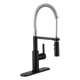 Statham Single-Handle Coil Spring Neck Kitchen Faucet with TurboSpray and FastMount in Stainless Steel - Super Arbor