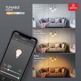 Globe Electric 60-Watt Equivalent Wi-Fi Smart G25 Vintage Edison Filament Tunable White LED Light Bulb