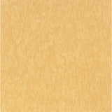 Armstrong Imperial Texture VCT 12 in. x 12 in. White Out Standard Excelon Commercial Vinyl Tile (45 sq. ft. / case) - Super Arbor