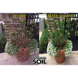 WONDER SOIL Expanding Coco Coir Booster and City Living Soil Wafers Combo Pack - Super Arbor