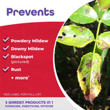 Bonide Rose Rx 3-in-1 Organic Ready-to-Use Liquid Insect, Disease & Mite Control, 32 oz
