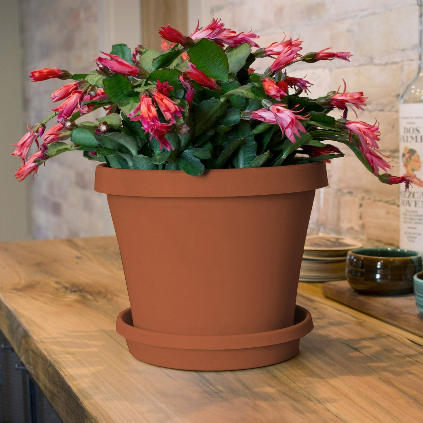 Bloem Terra Pot Planter 8" Terra Cotta