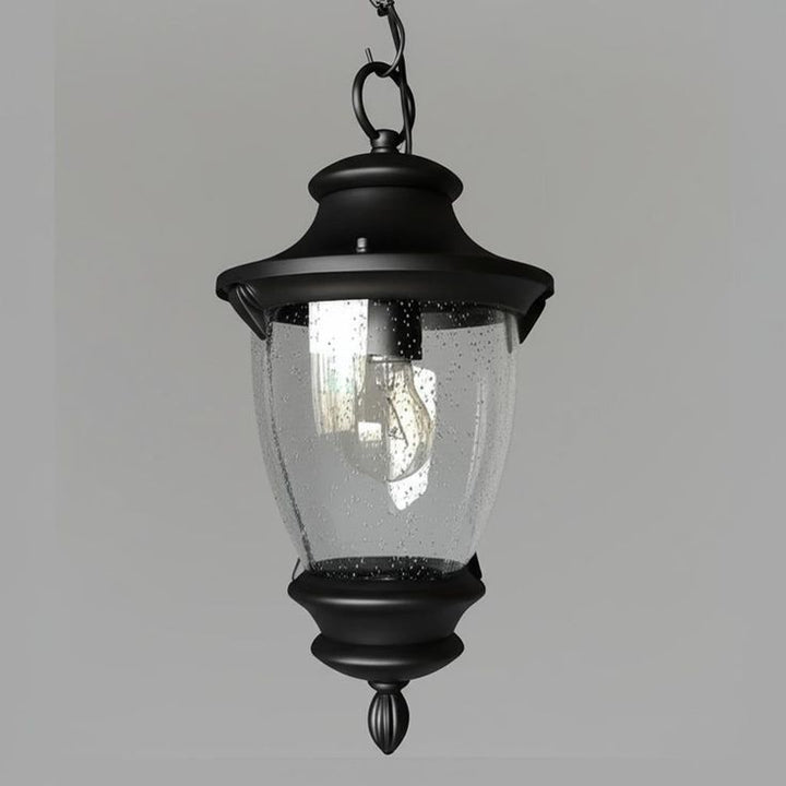 Home Decorators Collection Wilkerson 1-Light Black Outdoor Chain Hung Lantern