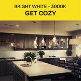 Feit Electric 60-Watt Equivalent ST19 Dimmable LED Clear Glass Vintage Edison Light Bulb With Straight Filament Bright White (4-Pack)