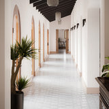 Lux Tile Parma White Polished Star and Matte Cross 6" Terracotta Look Porcelain Tile